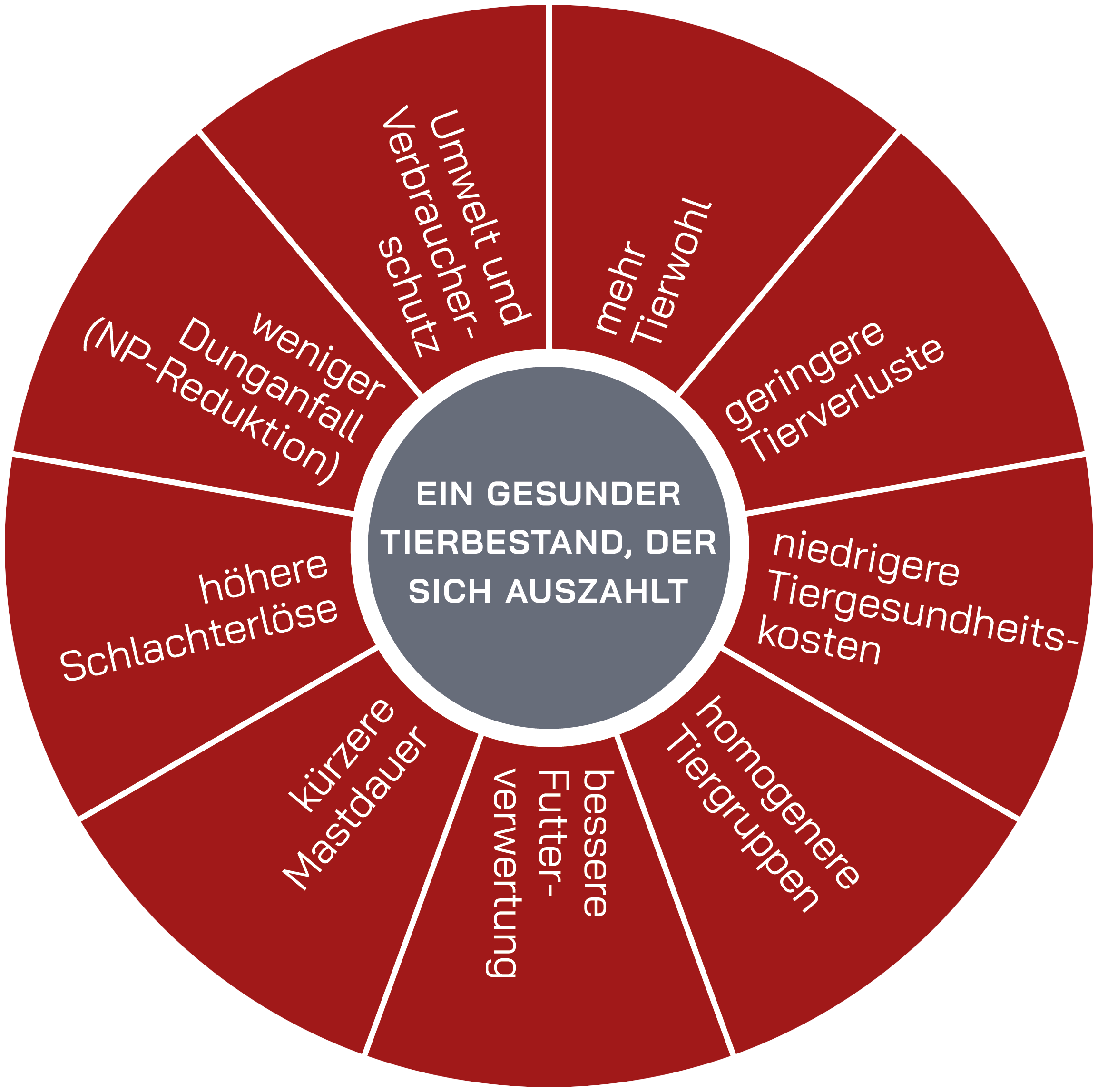 Tierärztliche Gemeinschaftspraxis Leistungsrad gesunder Tierbestand